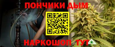 сатива Кингисепп