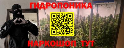сатива Кингисепп