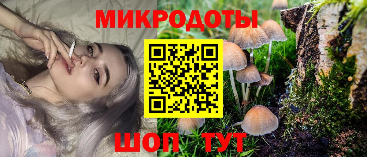 Лысьва  Псилоцибиновые грибы Psilocybine cubensis  Вход с VPN 