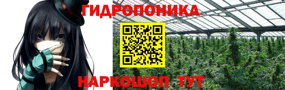 Каннабис Bruce Banner Лысьва
